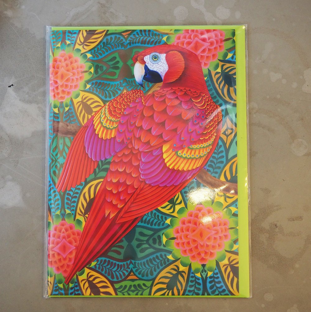 Jane Tattersfield greetings cards