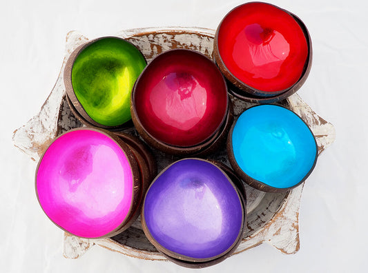 Lacquered coconut bowl