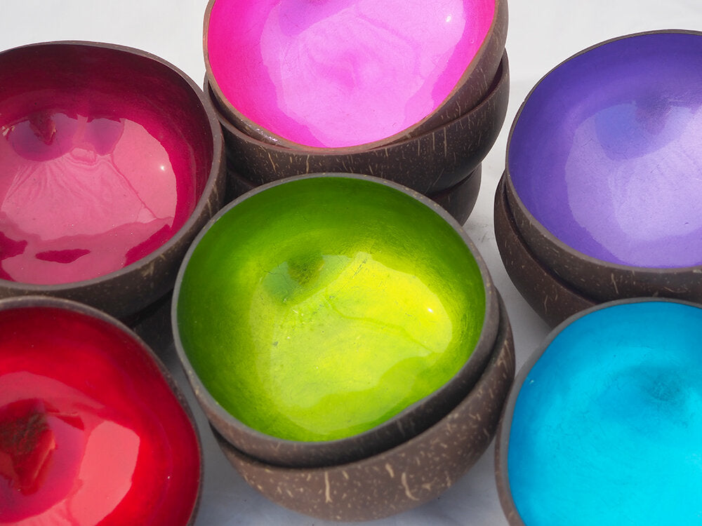 Lacquered coconut bowl