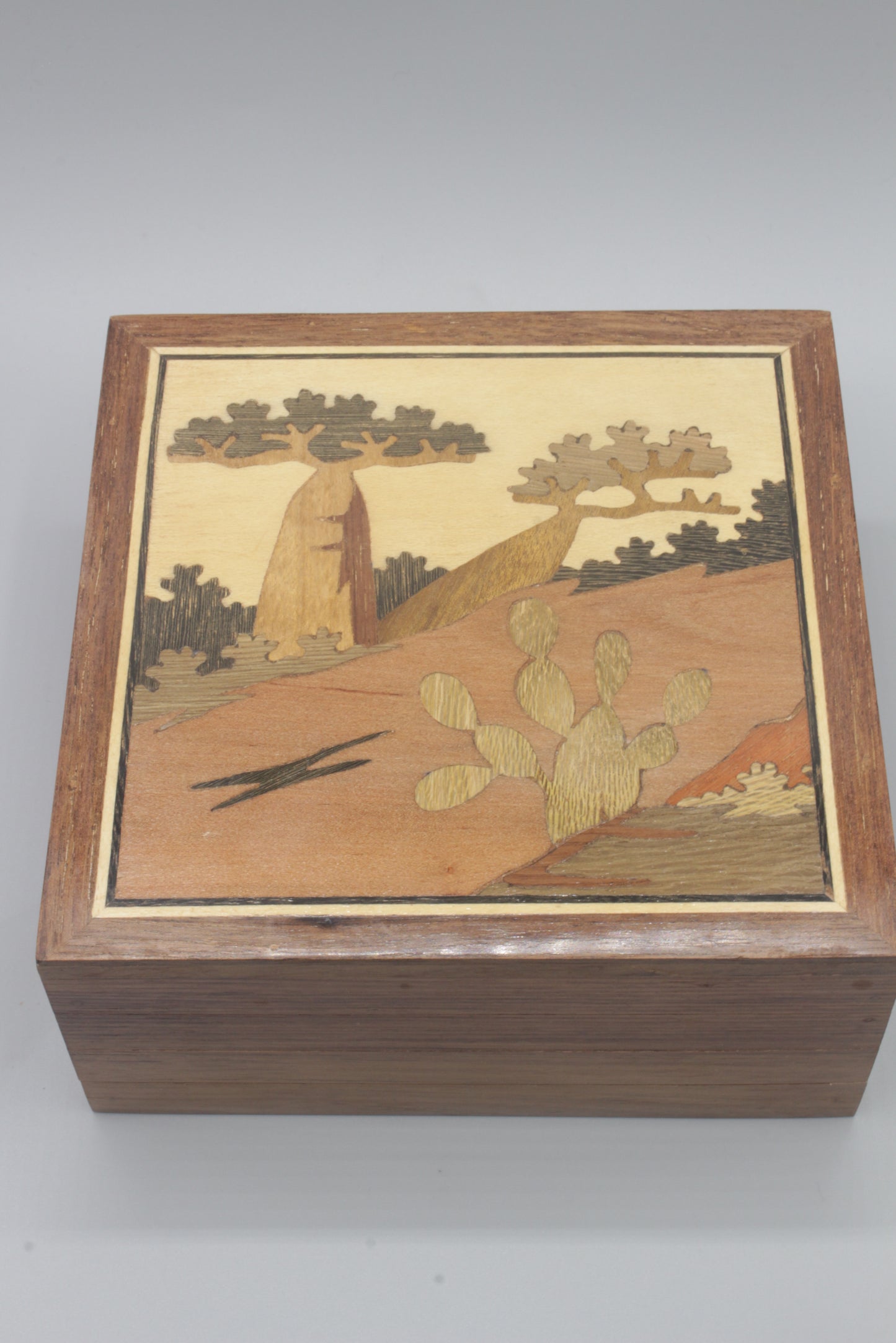 Secret boxes from Madagascar (large)