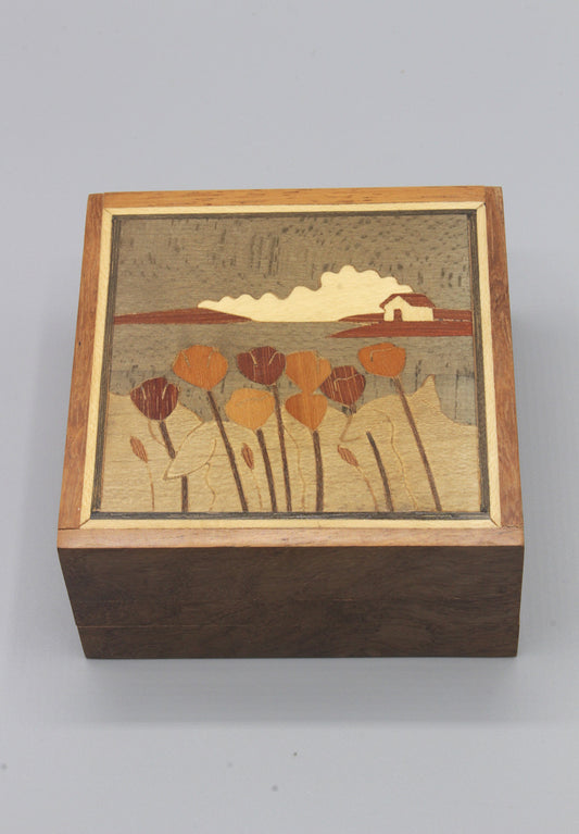 Secret boxes from Madagascar (medium)