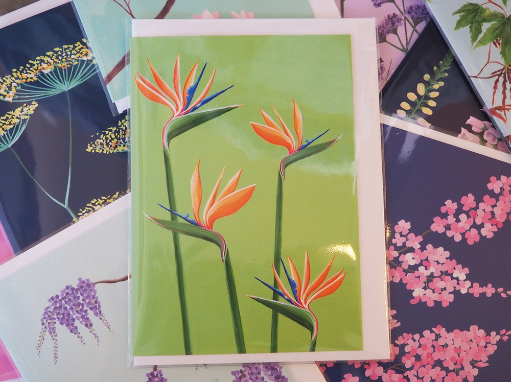 Stengun botanical greetings cards