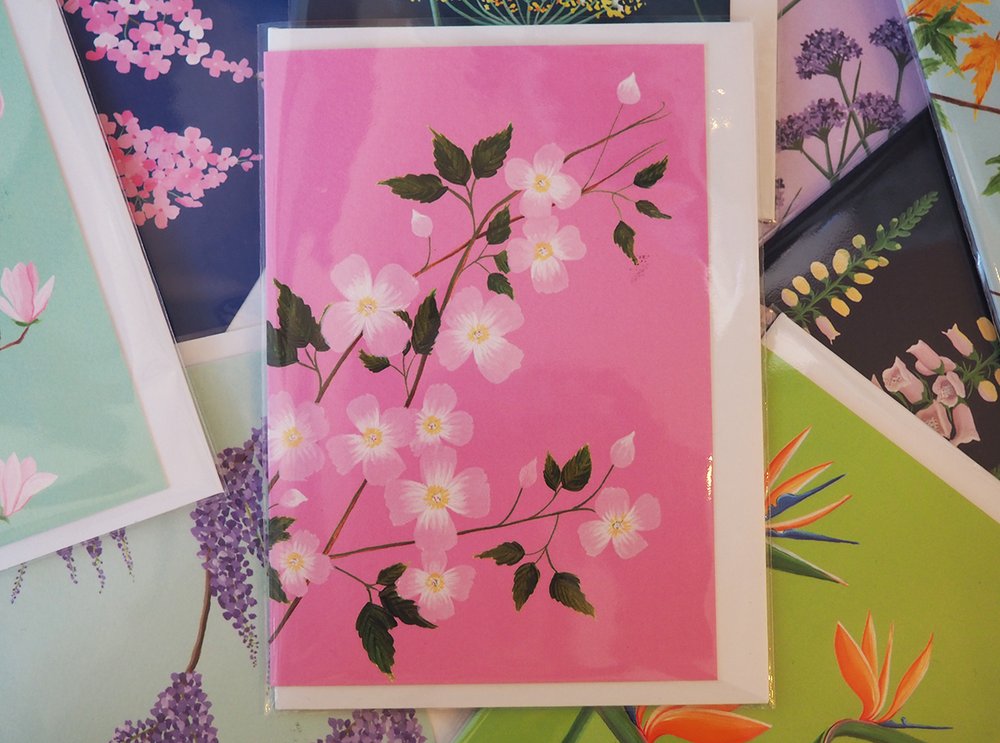 Stengun botanical greetings cards